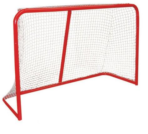 Eishockey Tor mit Fangnetz